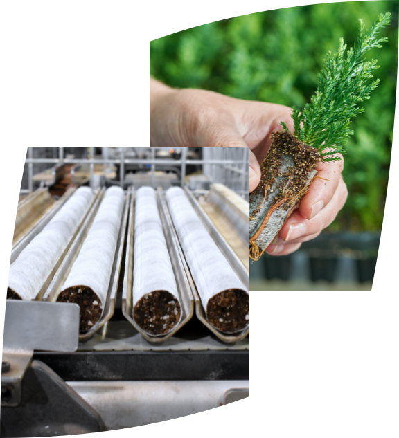 Werken bij Green Products